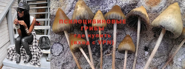 экстази Осинники