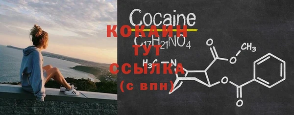 ешки Апатиты