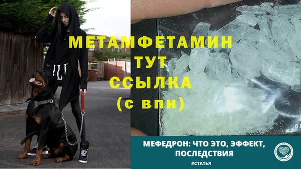 ПСИЛОЦИБИНОВЫЕ ГРИБЫ Пестово