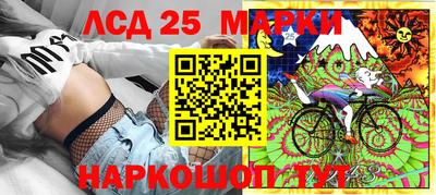 гидропоника Будённовск