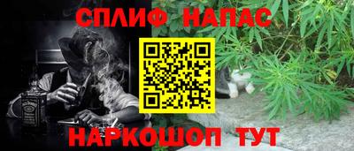 гидропоника Будённовск