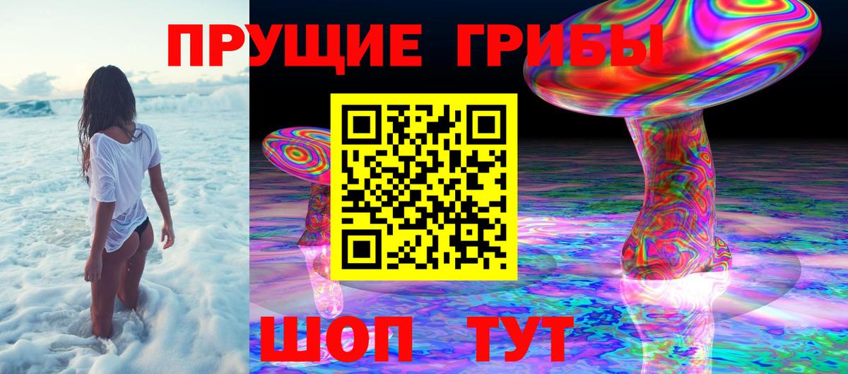 Губаха  Галлюциногенные грибы Cubensis  Псилоцибиновые грибы GOLDEN TEACHER  Вход с VPN 