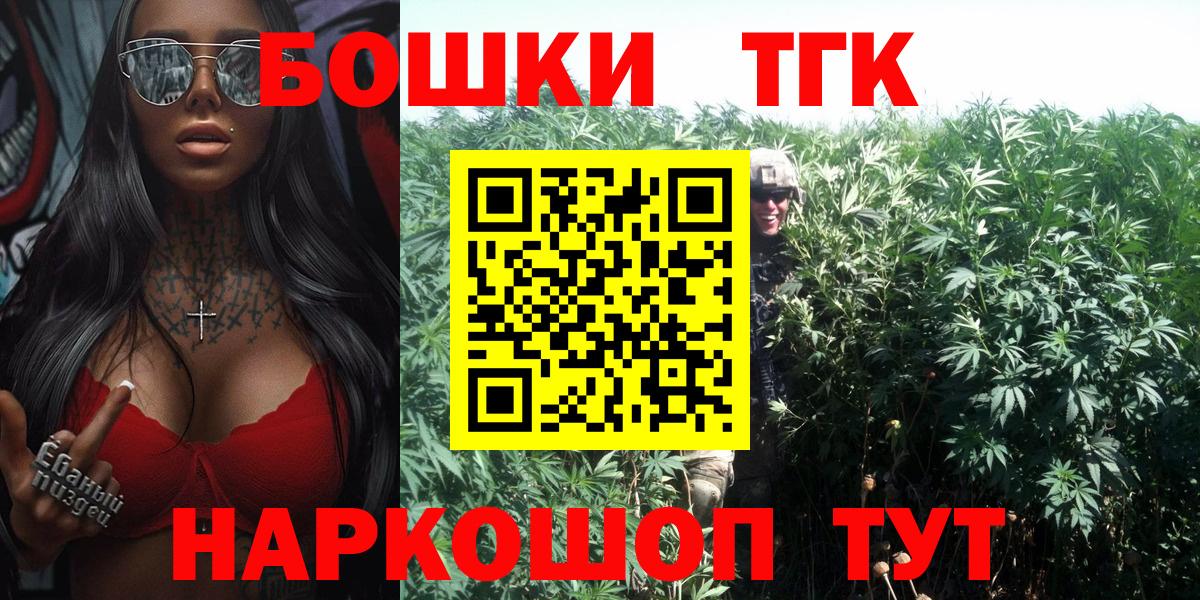 Конопля сатива Губаха